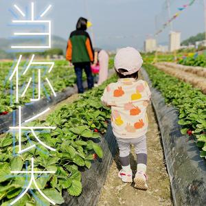 当你长大（重制版）