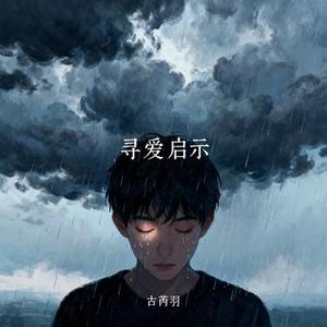 寻爱启示 (Cover 灼夭)