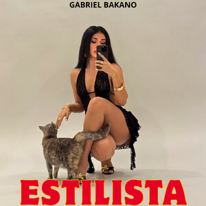 Estilista