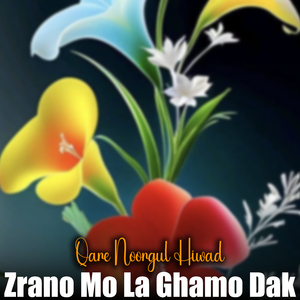 Zrano Mo La Ghamo Dak