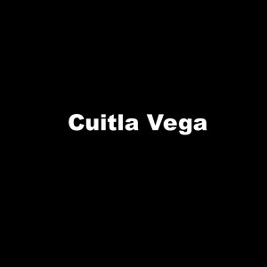 Aunque ahora estes con él Calibre 50 -- Cuitla Vega (cover)