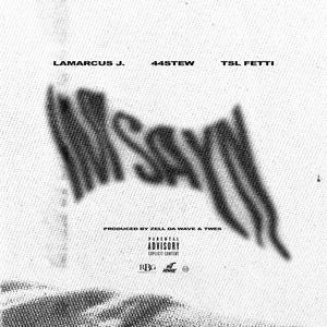 I'M Sayn (feat. TSL FETTI & 44 STEW)