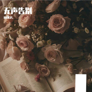 无声告别