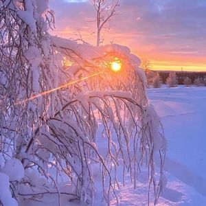 不散场的电影（prod by misogyny）