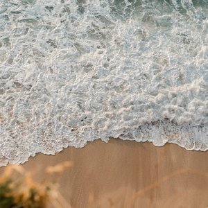 青春的诗意旧梦