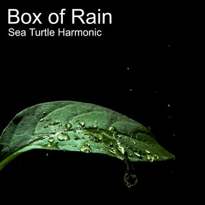 Althea (Arr. for Piano)