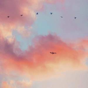 From Where We Started