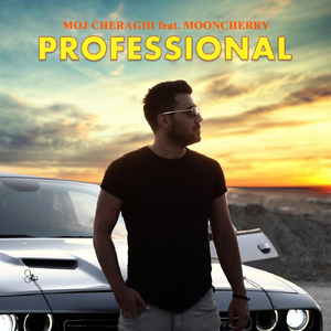 Professional (feat. Mooncherry)