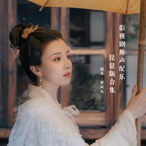 不可说 - 花千骨（琵琶）（翻自 赵丽颖）