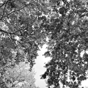 Bu Umursamazlık Fazla Bana