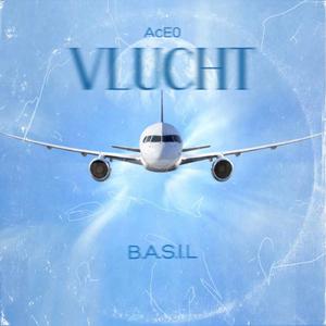 Vlucht