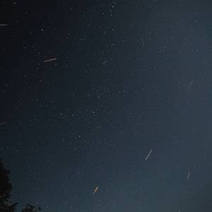 邵帅-你是人间四月天（清蒸三头鱼 remix）