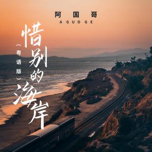 惜别的海岸 (粤语版)