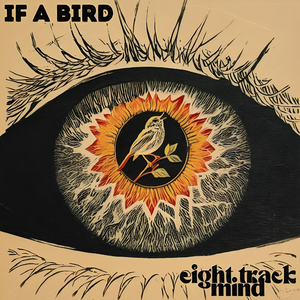 If A Bird