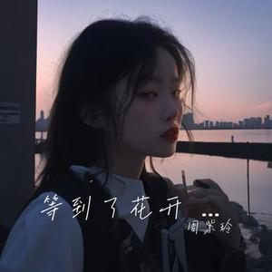 等到了花开等不到你回来