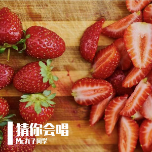 社会摇（抖音热播版）