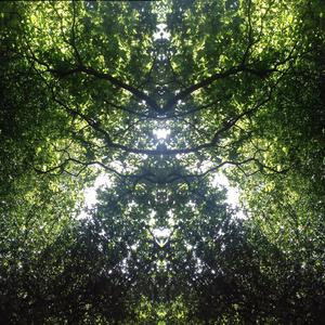 Lengthening Shadows (Afternoon, Movement III)