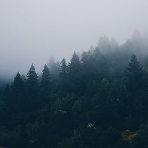 一直很安静（指弹ver.）