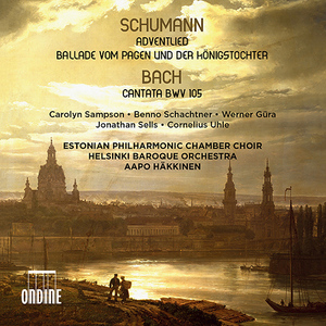 Herr, gehe nicht ins Gericht mit deinem Knecht, BWV 105 (arr. R. Schumann for voice and chamber ensemble, 1849 Dresden version):Recitative: Mein Gott, verwirf mich nicht (Alto)