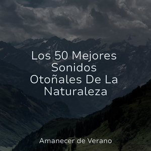 Serenata de Chispas Oscilantes