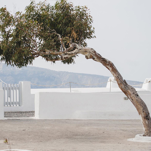 我的心将继续 (说唱版)