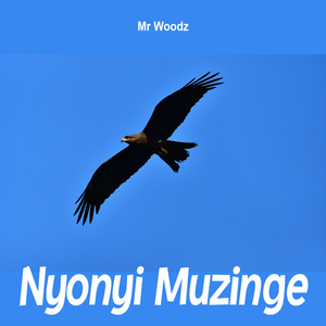 Nyonyi Muzinge