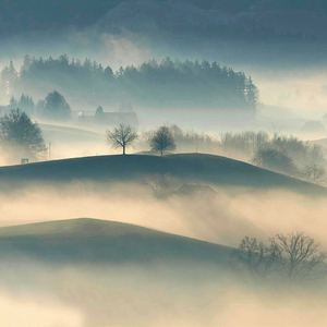 Quietude