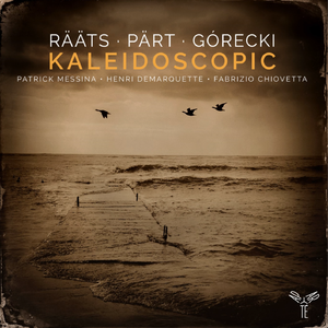 Kaleidoscopic Etudes, Op. 97.mp3