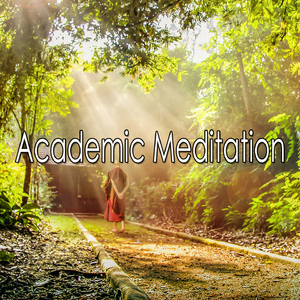 Tea in the Chinese Gardens