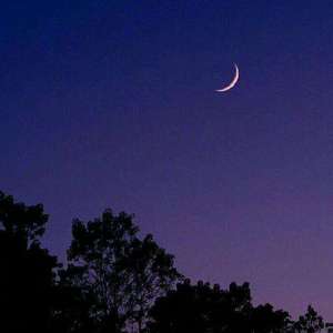 邓丽君-月亮代表我的心Demo（米涛 remix）