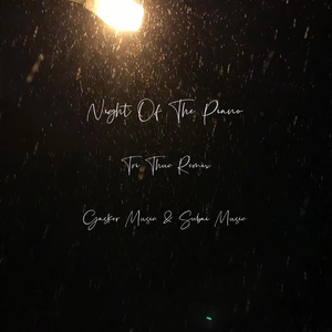 Night Of The Piano Remix  (Trí Thức Remix)