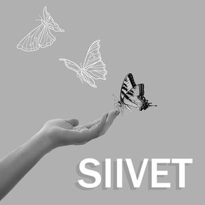 Siivet