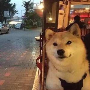坏女孩