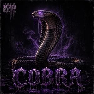 COBRA