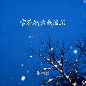 雪花别为我流泪