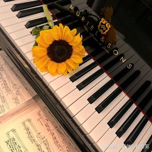 是你（钢琴伴奏）