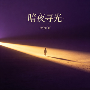 暗夜寻光