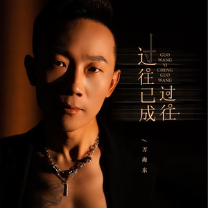 过往已成过往 (DJ魅音律动版)