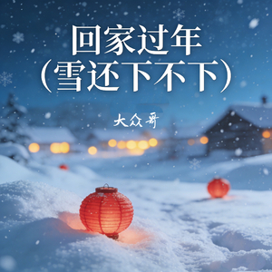 回家过年 (雪还下不下)
