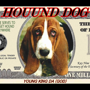 Hound Dog
