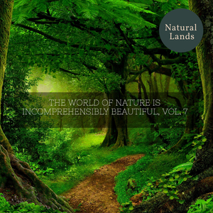 Soft Wind Across the Desert