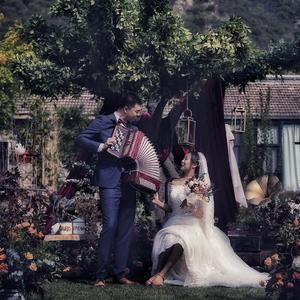 大老虎的给你给我