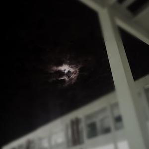 "I am the trap"{Drill Free}