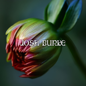 Bloodshot at Dawn (Cult Remix)