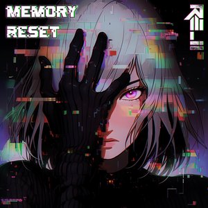 Memory Reset
