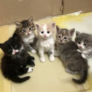 wish i could see u 2