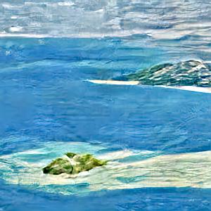 Resort (Unpreoccupied)