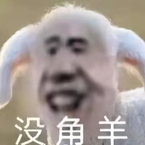 跑步鸡