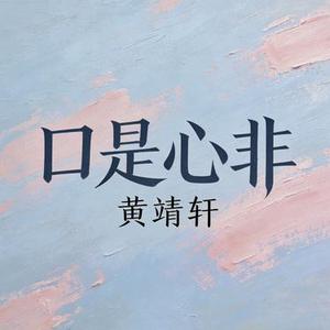 口是心非 (Cover 张雨生)