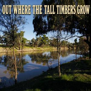 OUT WHERE THE TALL TIMBER GROWS